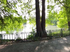 Tei, Parcul Circului