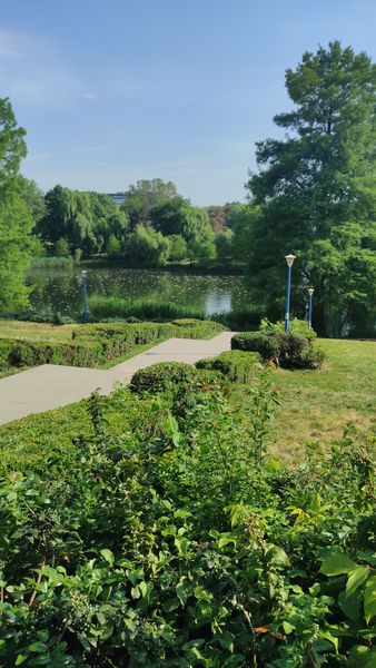 Tei, Parcul Circului,