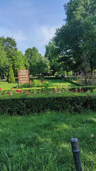 Tei, Parcul Circului,