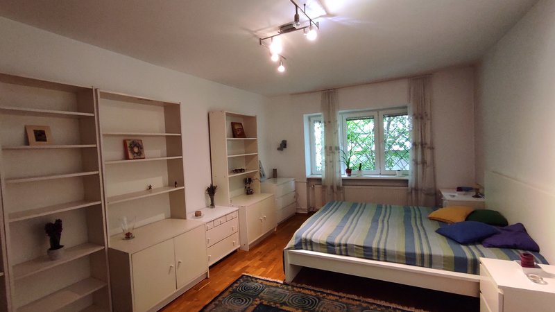 Tei, Parcul Circului,